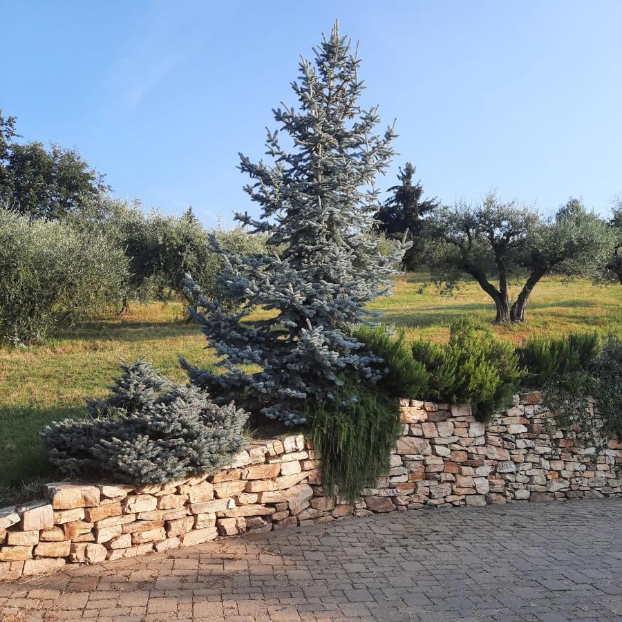Segnavento -Rooms And Suites- Manta Екстер'єр фото